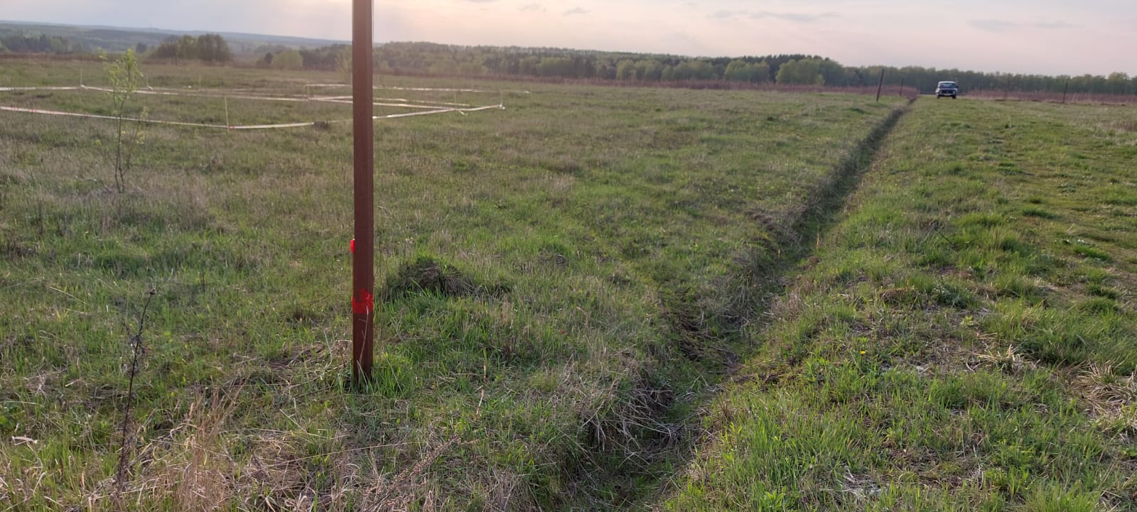 Вынос границ в натуру