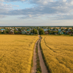 Перевод земель из одной категории в другую: инструкция для Заокского, Алексинского и Ясногорского районов